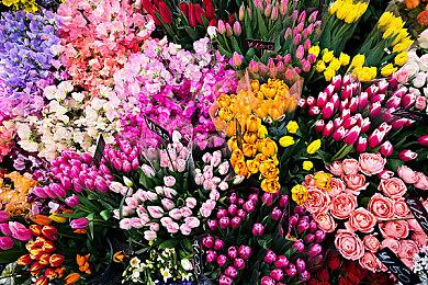 铁道益智解谜游戏《Railbound》上线Steam 2022年内发售